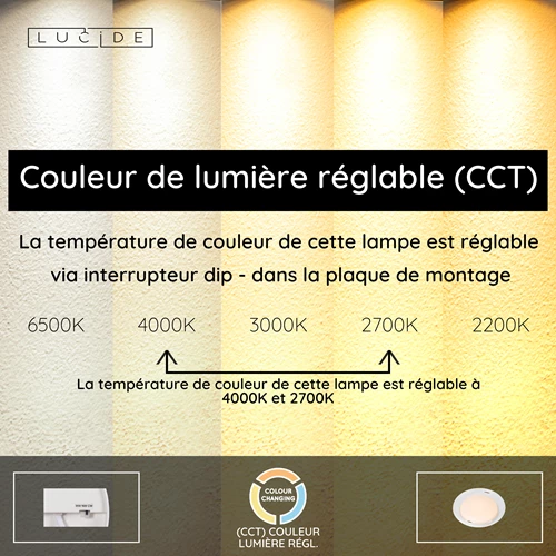 Lucide SKETES - Plafonnier - Ø 45,7 cm - LED Dim. - CCT - 1x24W 2700K/4000K - Transparent - USP